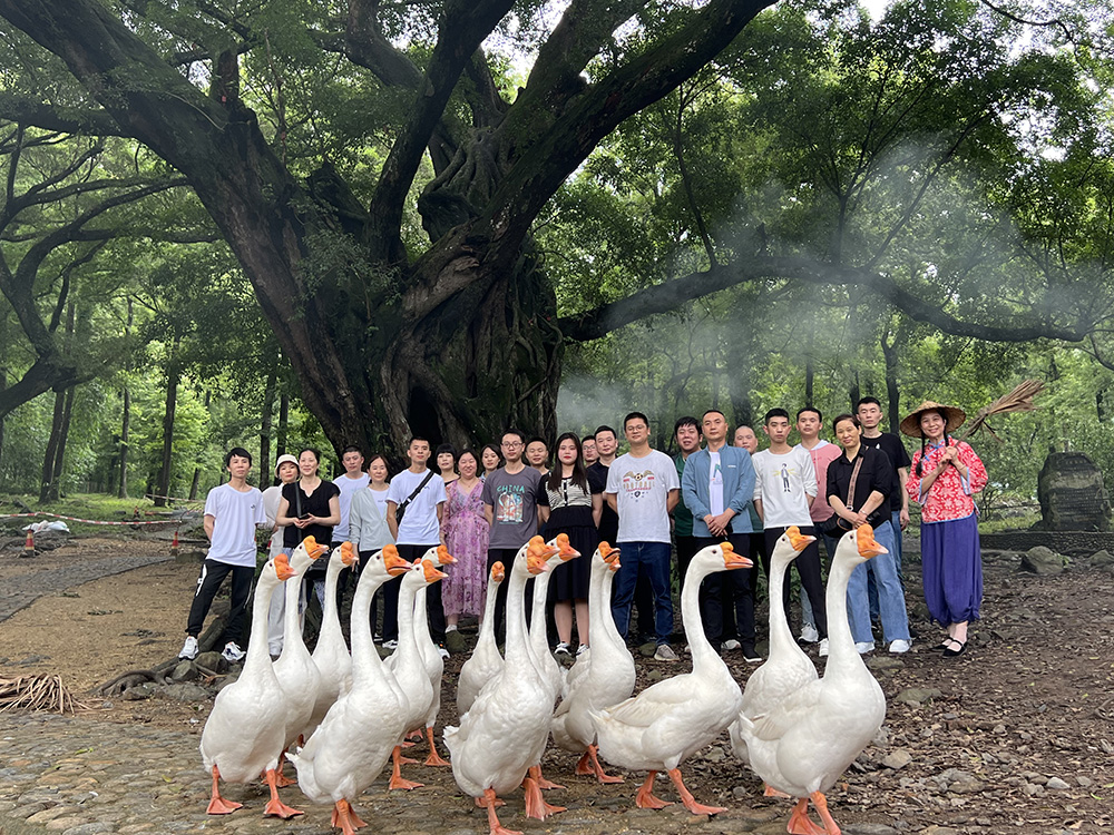 2023年职工疗休养活动之二 | 福建霞浦三日游(图3) 2023年职工疗休养活动之二 | 福建霞浦三日游(图3)