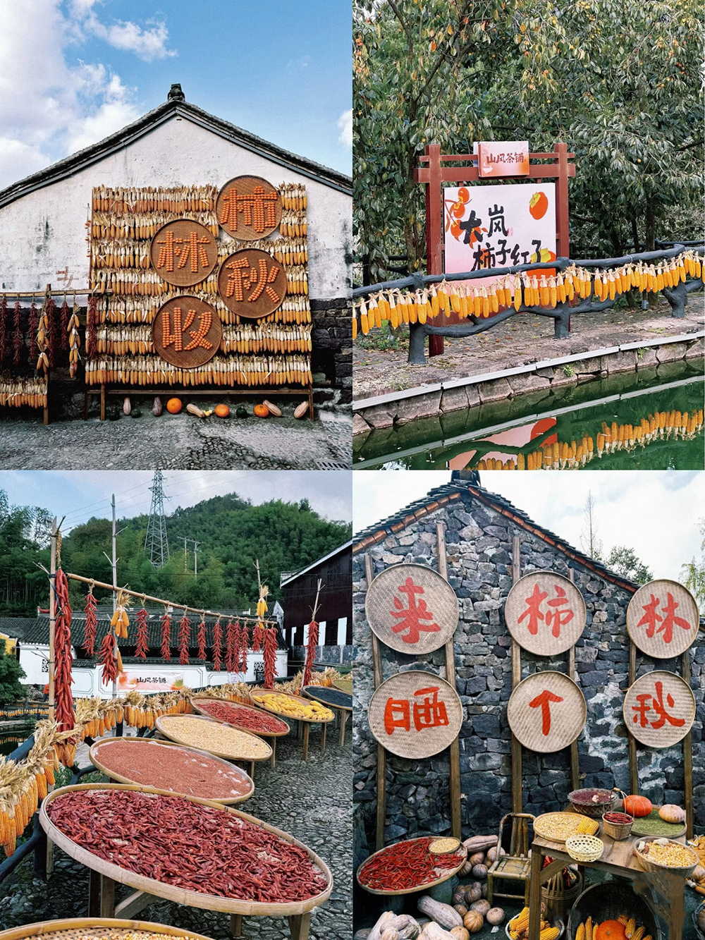 踏秋四明山,聚力向未来 | 我们的四明山柿林村徒步之旅(图2) 踏秋四明山,聚力向未来 | 我们的四明山柿林村徒步之旅(图2)